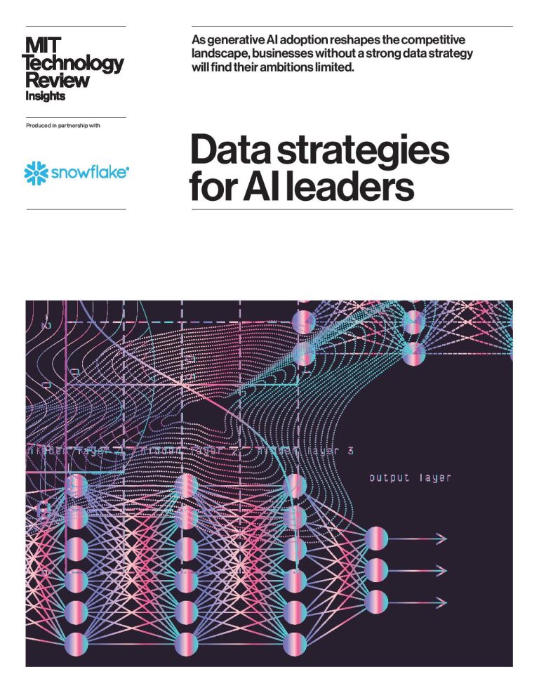 Data strategies for ai leaders